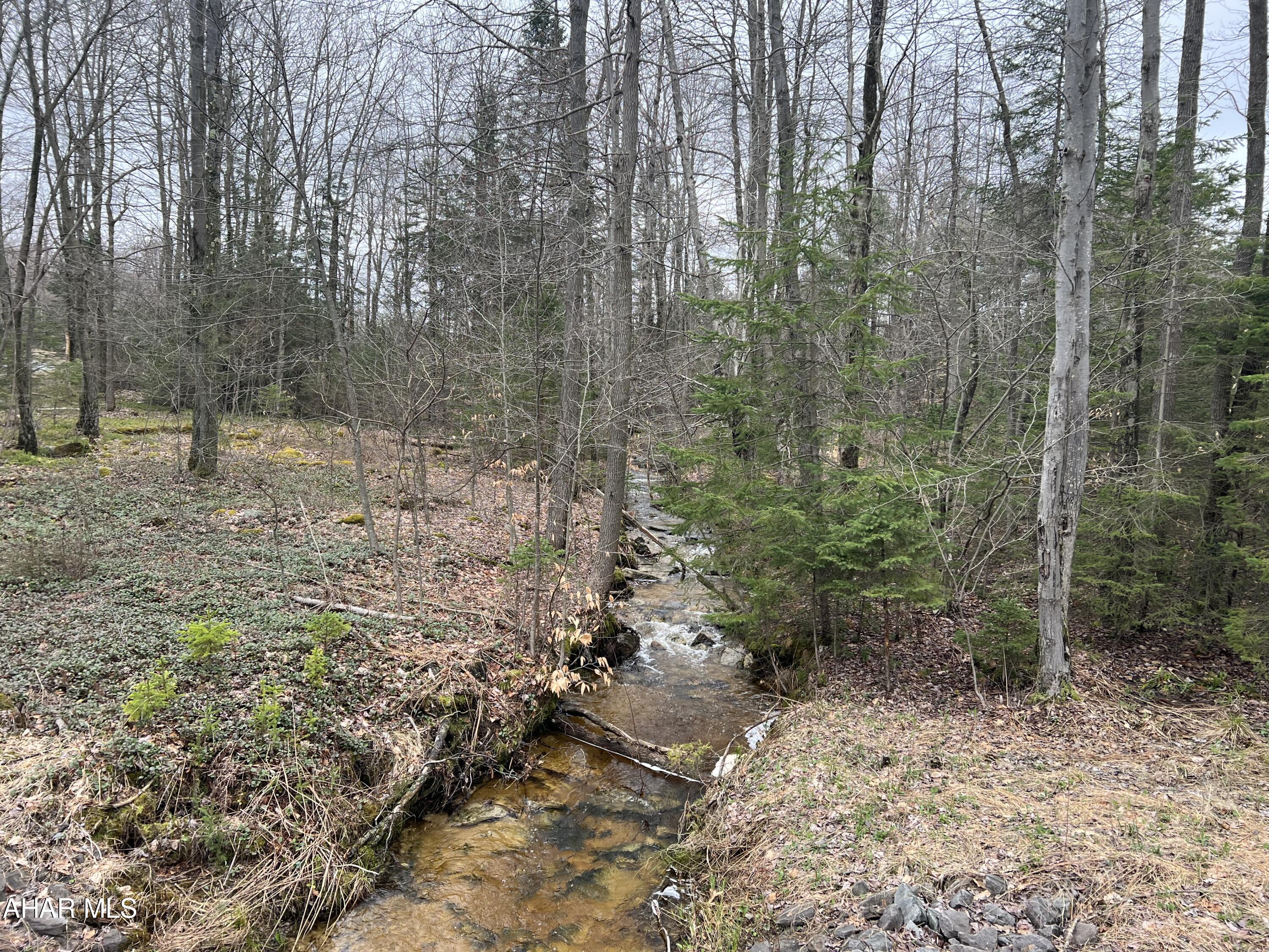 0 Crystal Springs Road Penfield, PA 15849 - Photo 4 of 9 Gallery Image 4