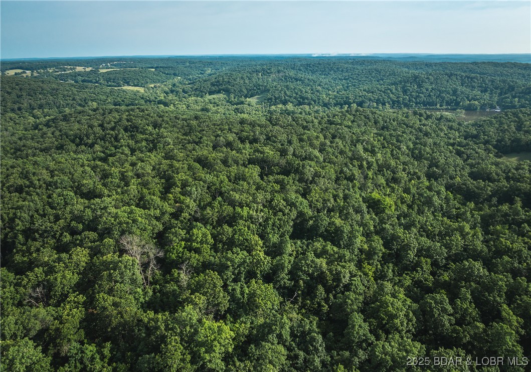 -tbd State Rd Z Edwards, MO 65326 - Photo 12 of 39