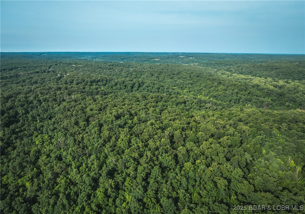 -tbd State Rd Z Edwards, MO 65326 - Photo 14 of 39