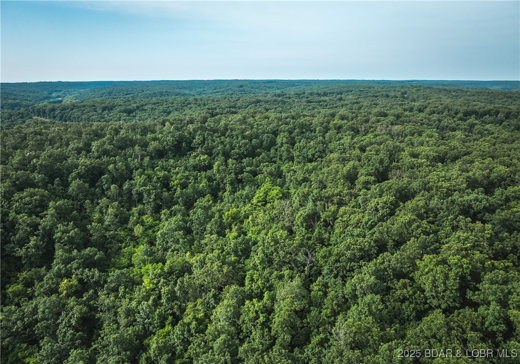 -tbd State Rd Z Edwards, MO 65326 - Photo 15 of 39