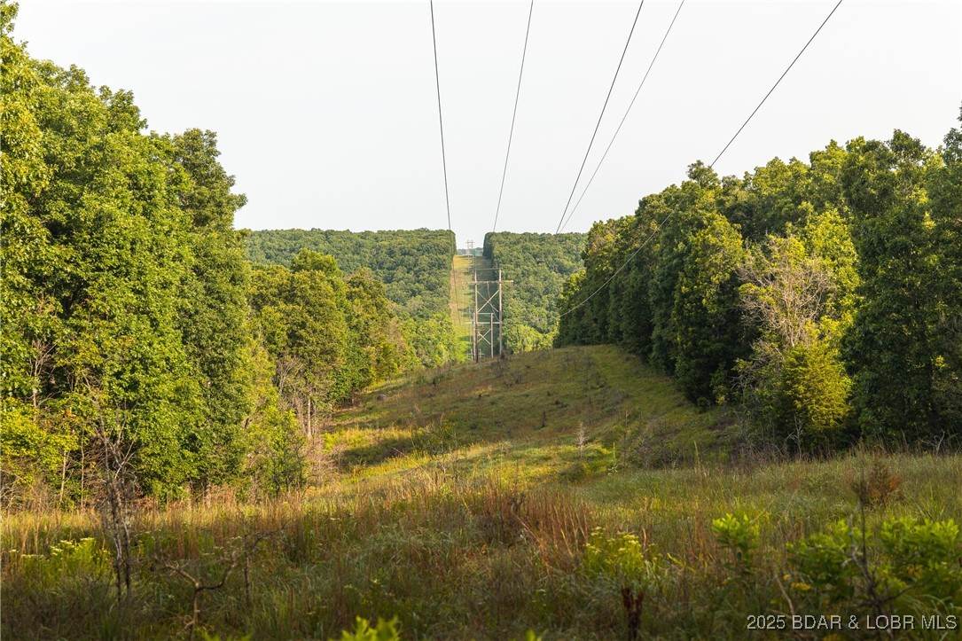 -tbd State Rd Z Edwards, MO 65326 - Photo 17 of 39