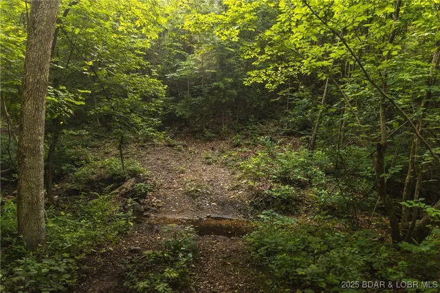 $504,350 | -tbd State Rd Z, Edwards, MO 65326