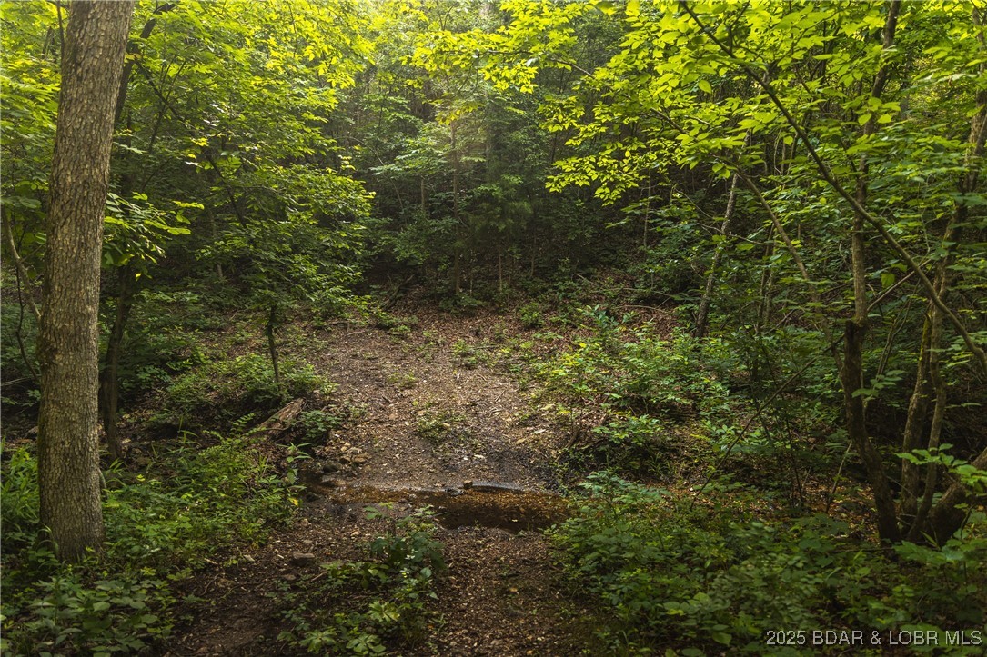 -tbd State Rd Z Edwards, MO 65326 - Photo 23 of 39