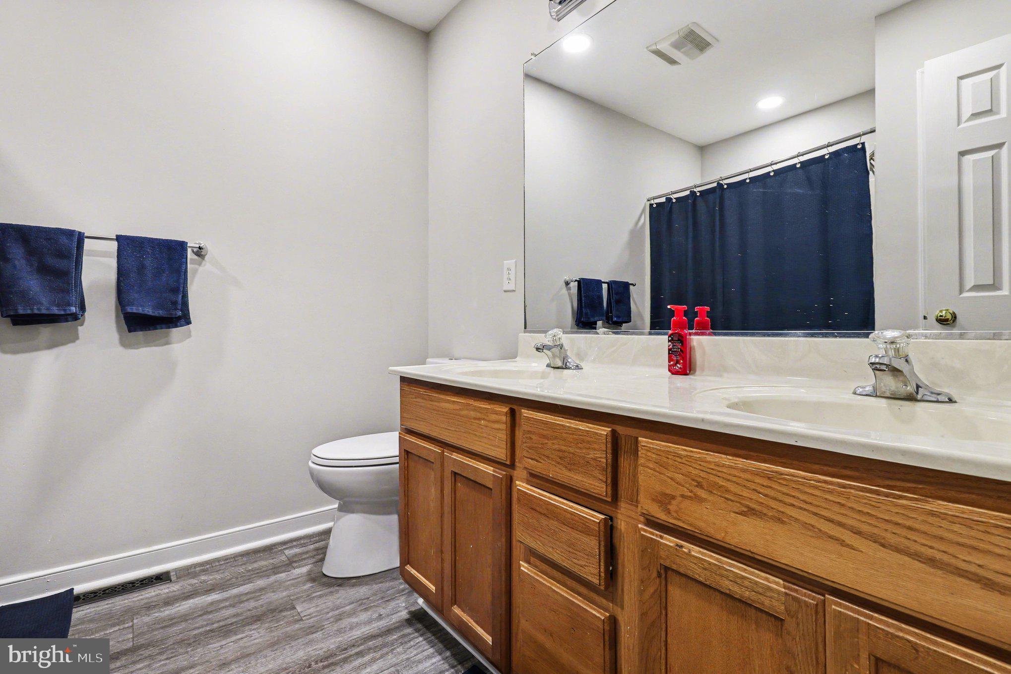 2225 Partlow Road Beaverdam, VA 23015 - Photo 19 of 27 a bathroom with a sink and a toilet