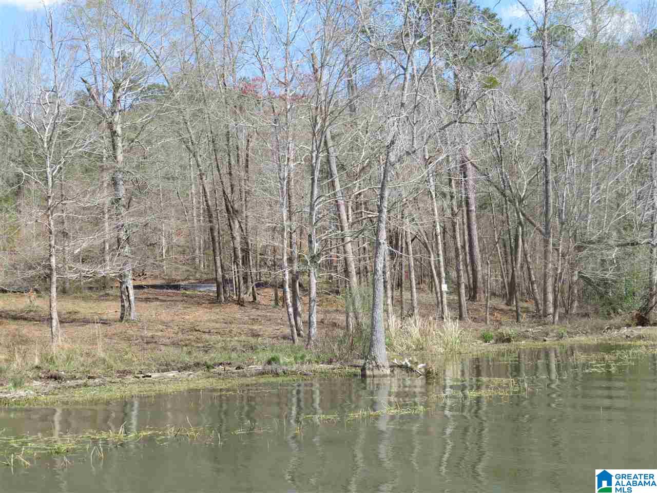 Lot 15 Eagle Point Trace, Unit 15 Alexander City, AL 35010 - Photo 1 of 11