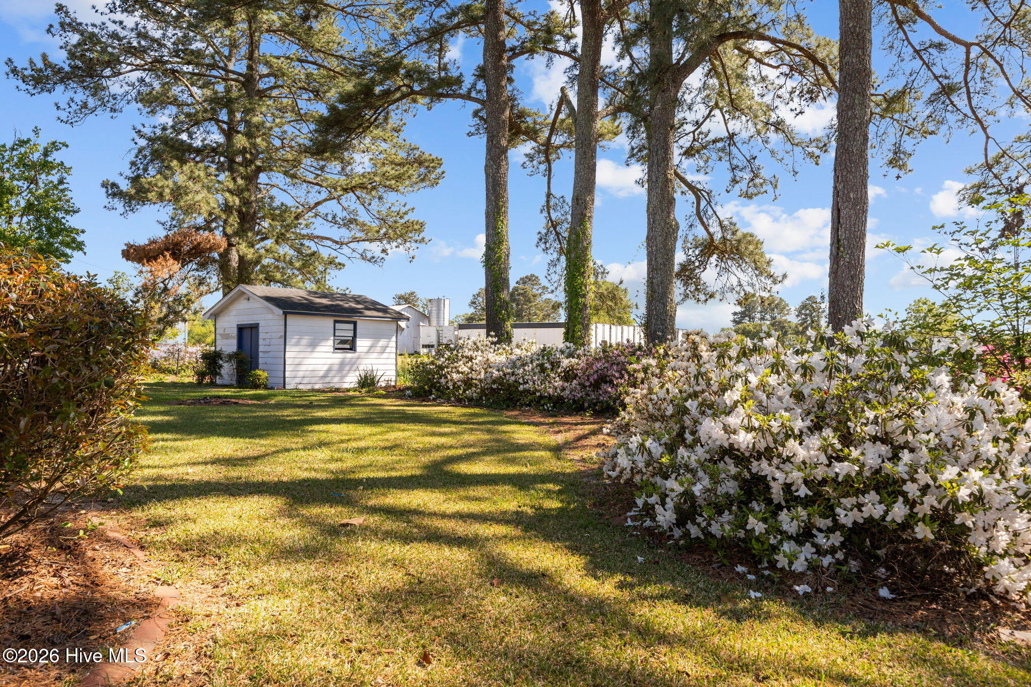 113 Vandiford-Thomas Road Snow Hill, NC 28580 - Photo 51 of 52 50-web-or-mls-IMG_0100