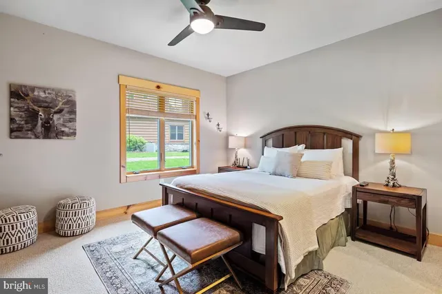 a view of a house with a tree in front of it