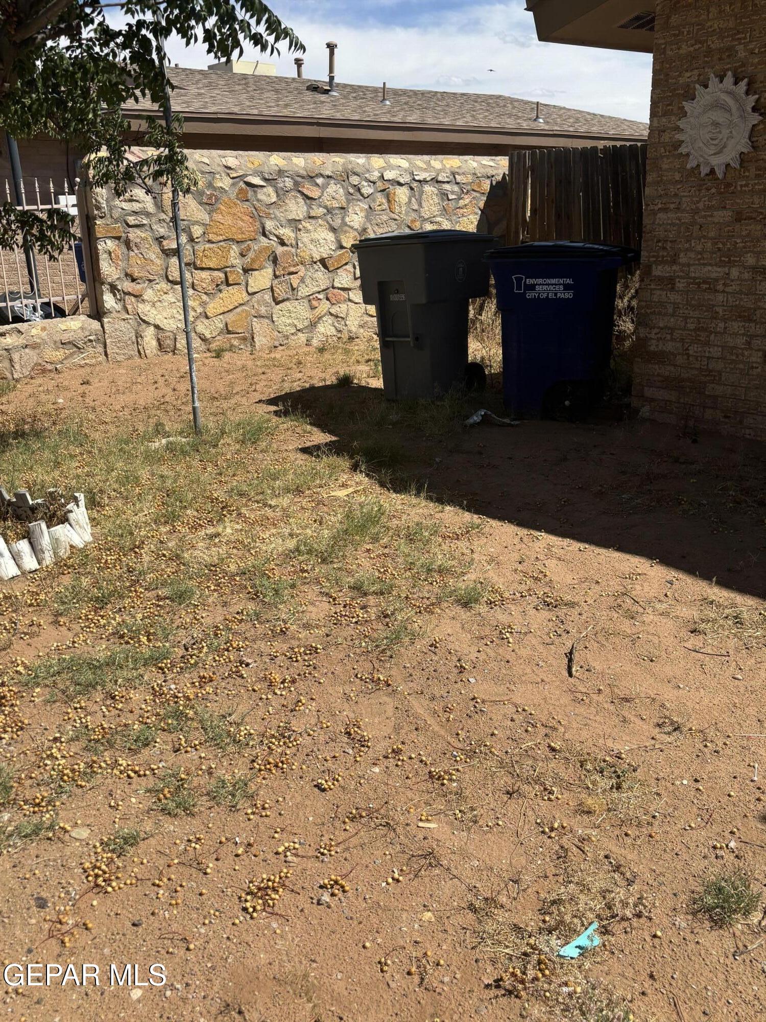 10705 Rhyolite Drive El Paso, TX 79924 - Photo 9 of 10 1
