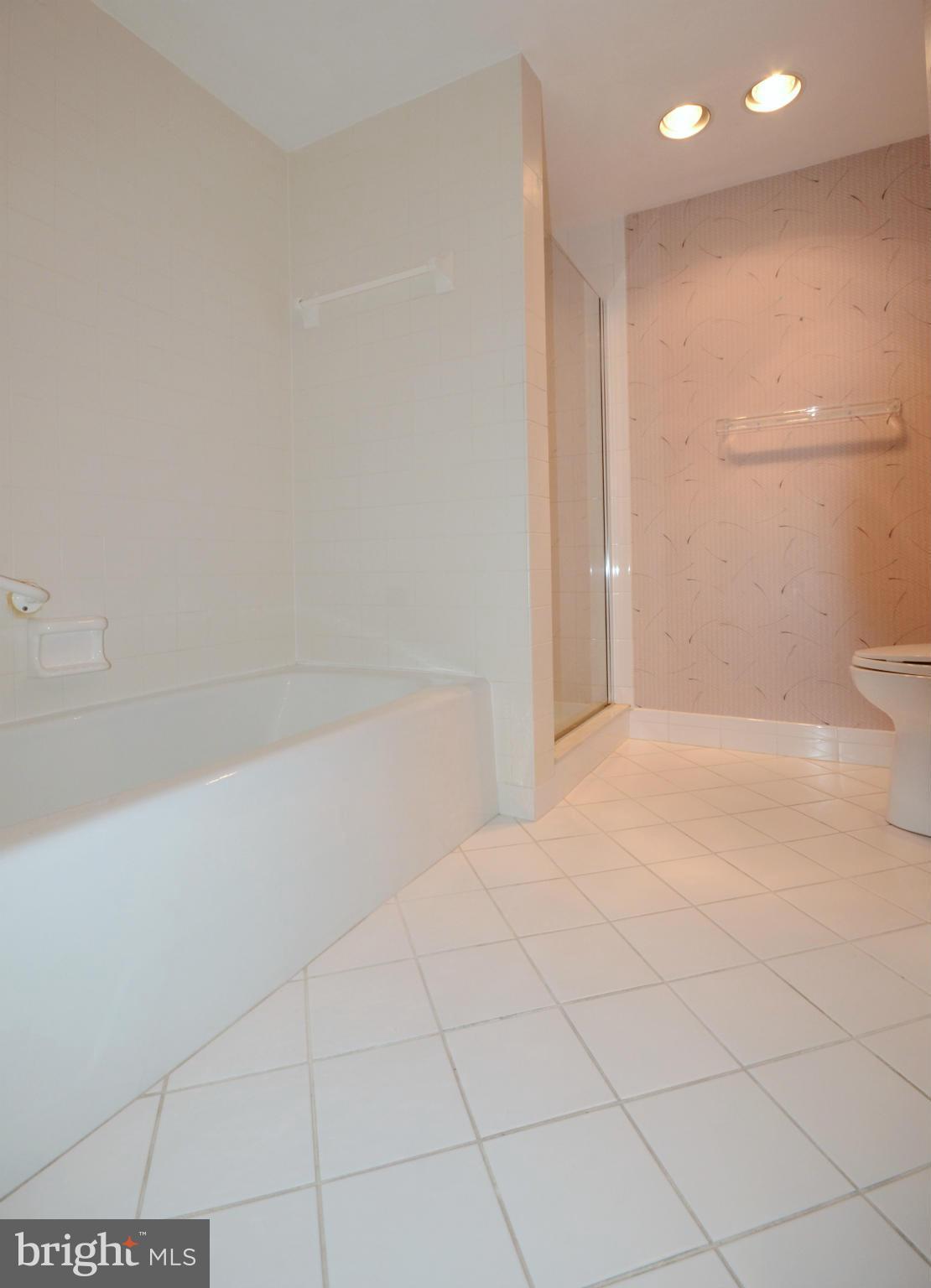 2331 Old Court Road, Unit 307 Baltimore, MD 21208 - Photo 13 of 21 Bath (Master)