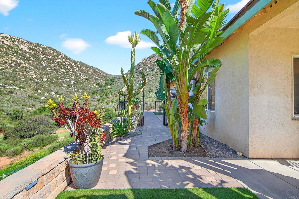 15953 Shalom Road Ramona, CA 92065 - Photo 54 of 71 a view of a yard with plants and large trees