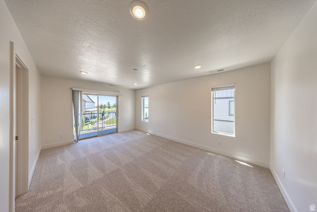 1878 West Springwater Drive Vineyard, UT 84059 - Photo 21 of 42