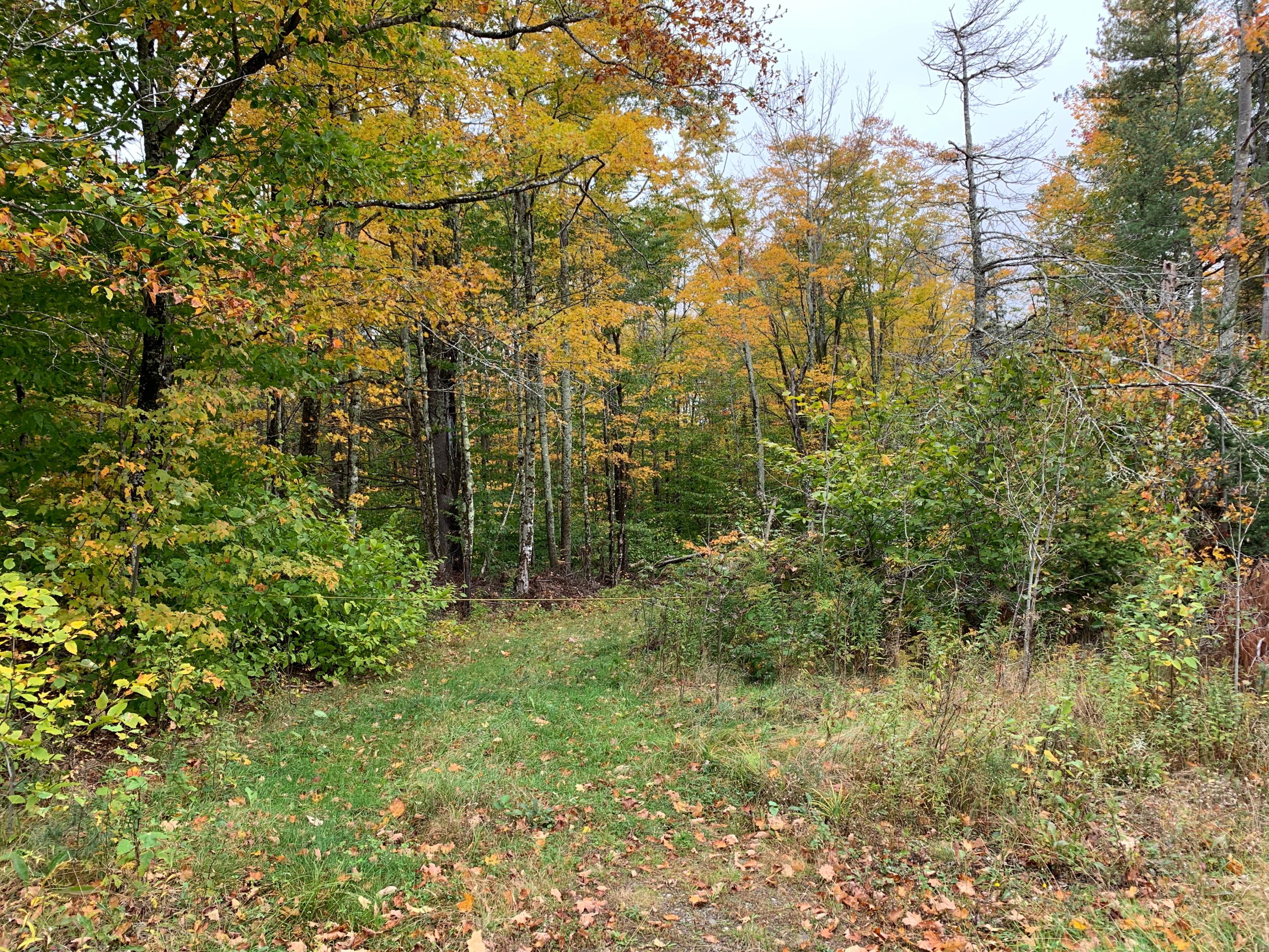 0 West Washington Road Washington, ME 04574 - Photo 8 of 11 IMG_2927