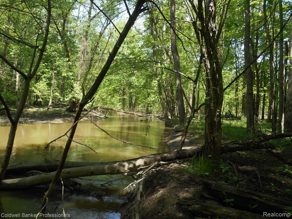 1651 Castle Road North Branch, MI 48461 - Photo 22 of 30 Gallery Image 22