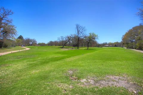 a view of a dry yard with trees