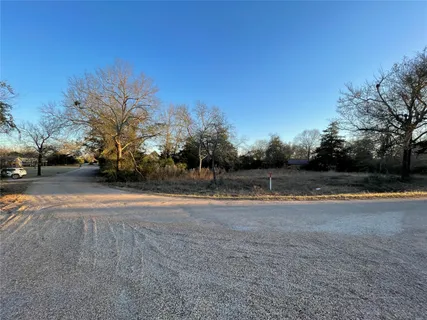 a view of a backyard with large trees and wooden fence