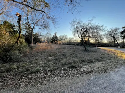 a view of yard with tree s