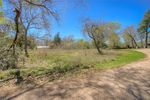 a view of a dry yard with trees