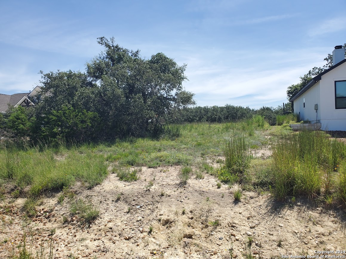 108 Jesse Stiff Blanco, TX 78606 - Photo 19 of 34