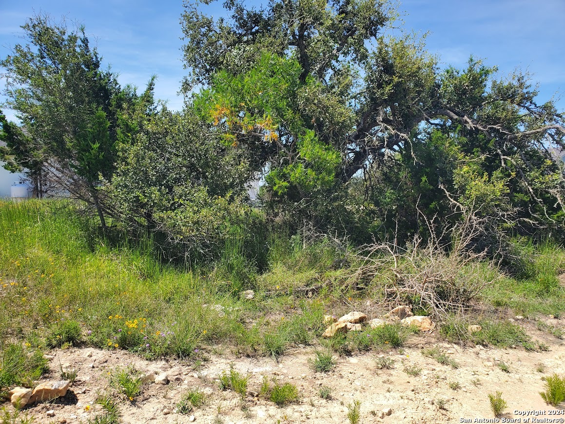 108 Jesse Stiff Blanco, TX 78606 - Photo 5 of 34