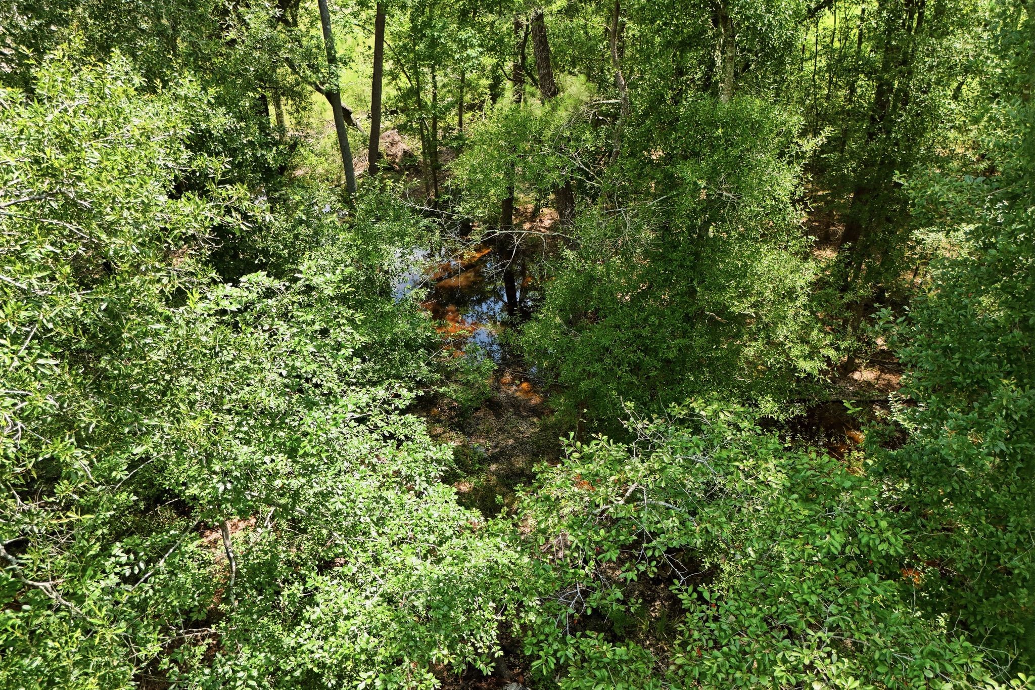 Tbd Coleman Drive Splendora, TX 77372 - Photo 6 of 16