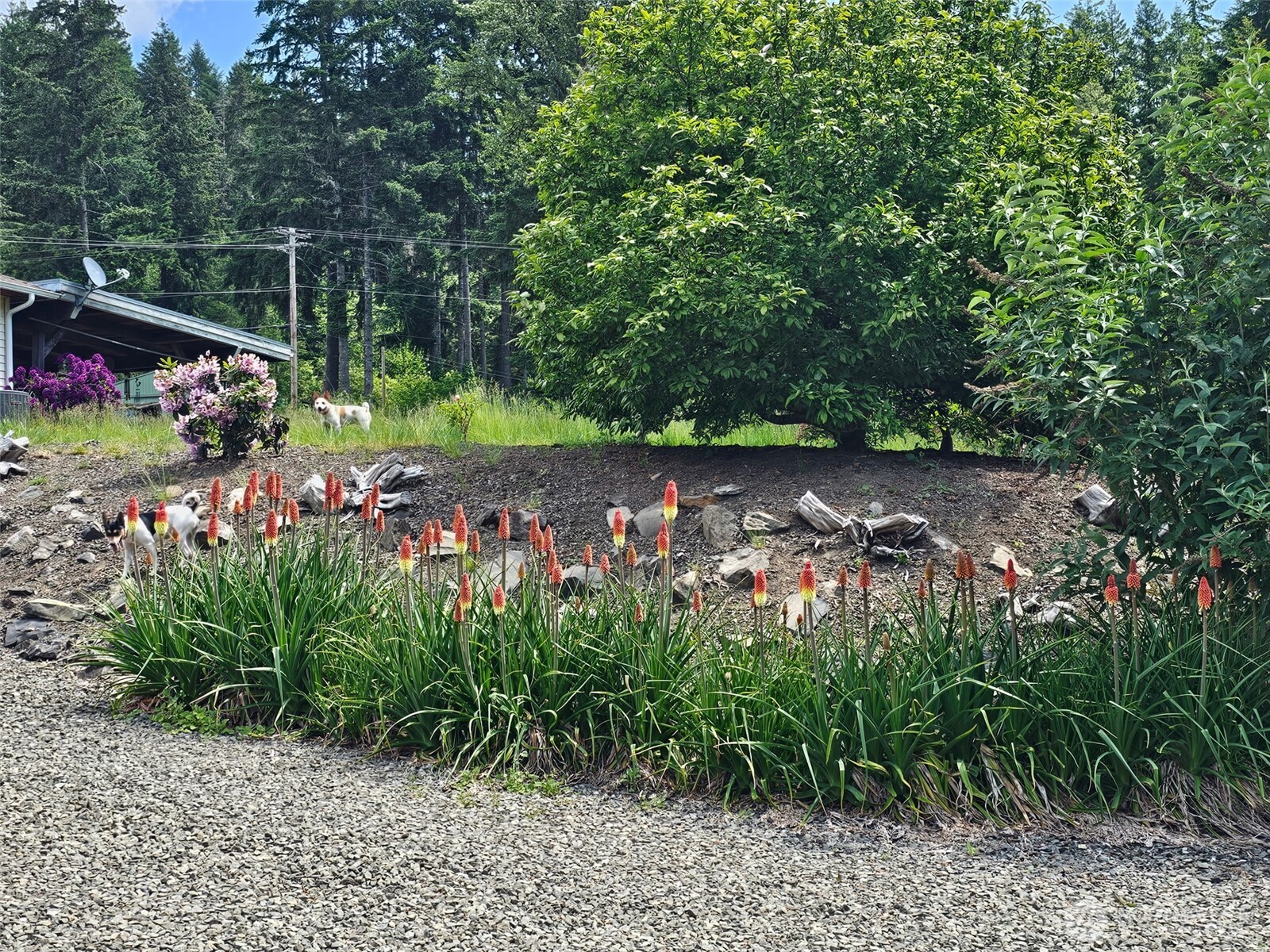 107 Peters Creek Road Randle, WA 98377 - Photo 36 of 37 Gallery Image 36