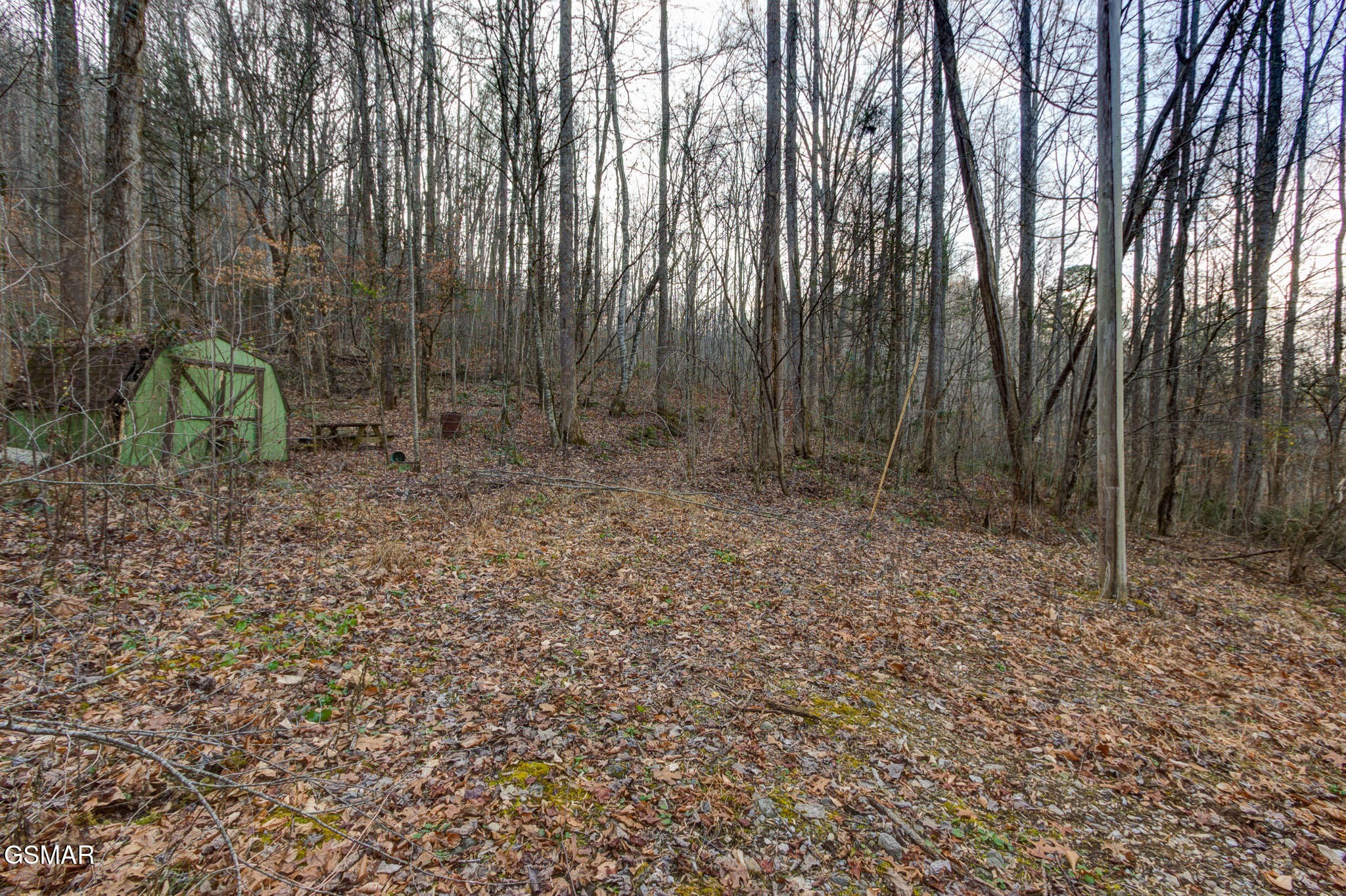 4120 Highland Road Cosby, TN 37722 - Photo 8 of 15
