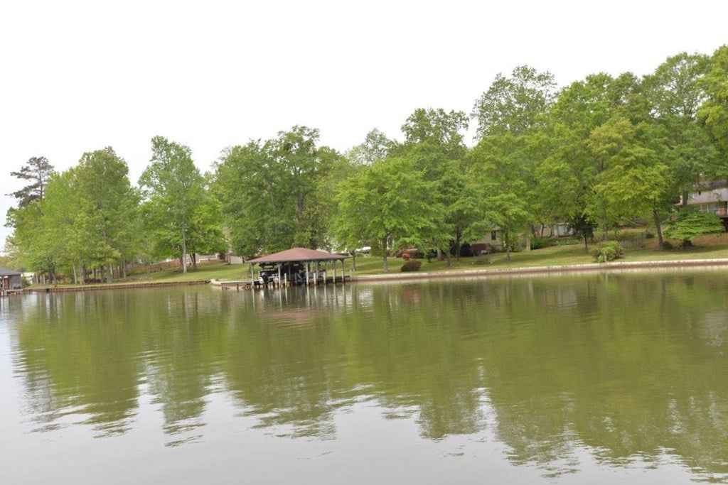 Gallery Image 7