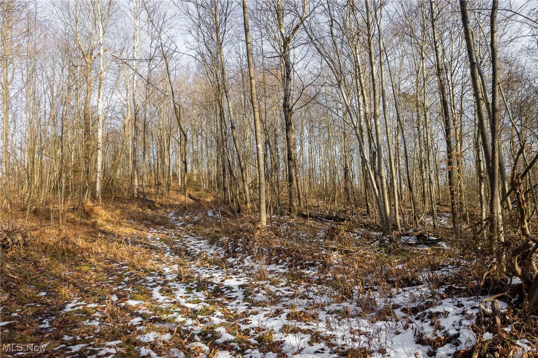 9 County Road New Matamoras, OH 45767 - Photo 23 of 48 View of local wilderness