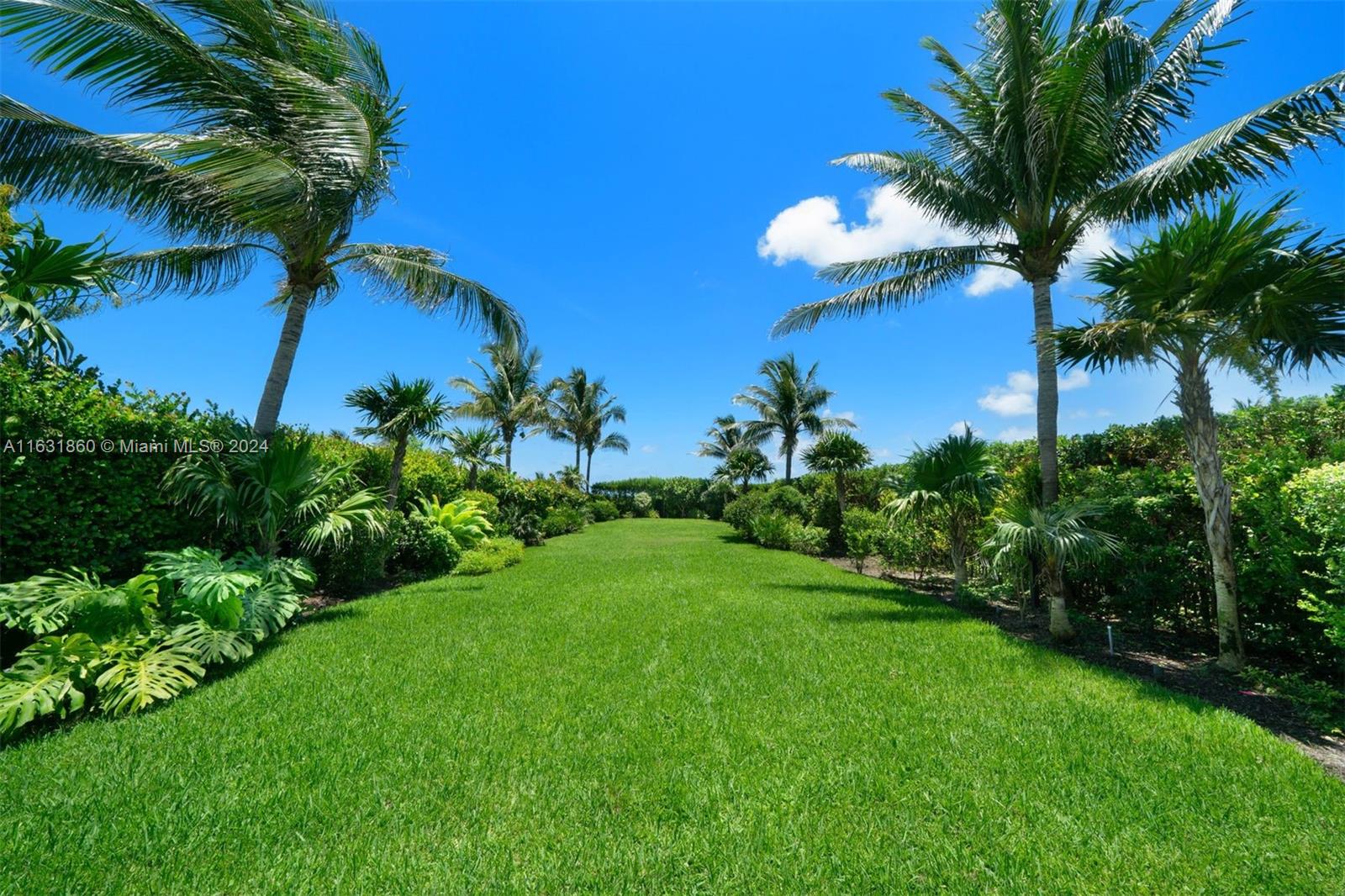 7825 Atlantic Way Miami Beach, FL 33141 - Photo 19 of 33 a view of a yard with a palm tree