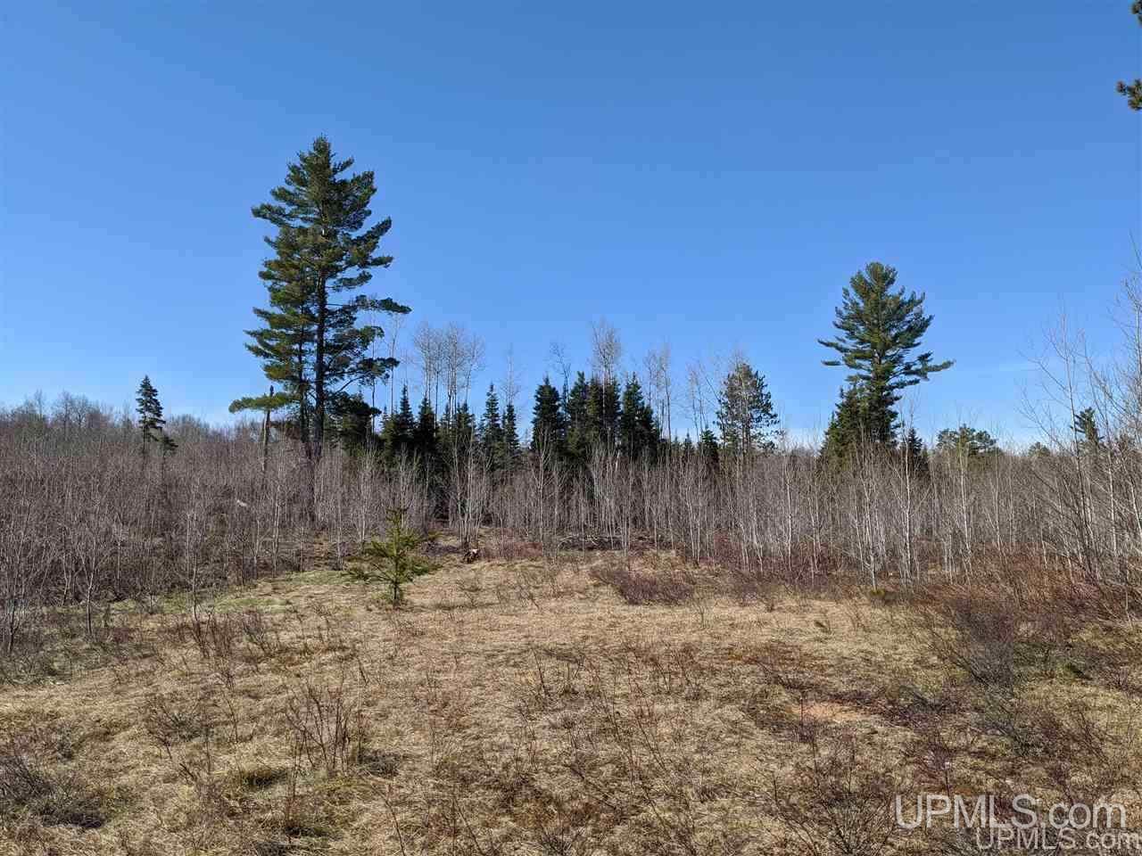 3 Little Bull Road Crystal Falls, MI 49920 - Photo 4 of 9