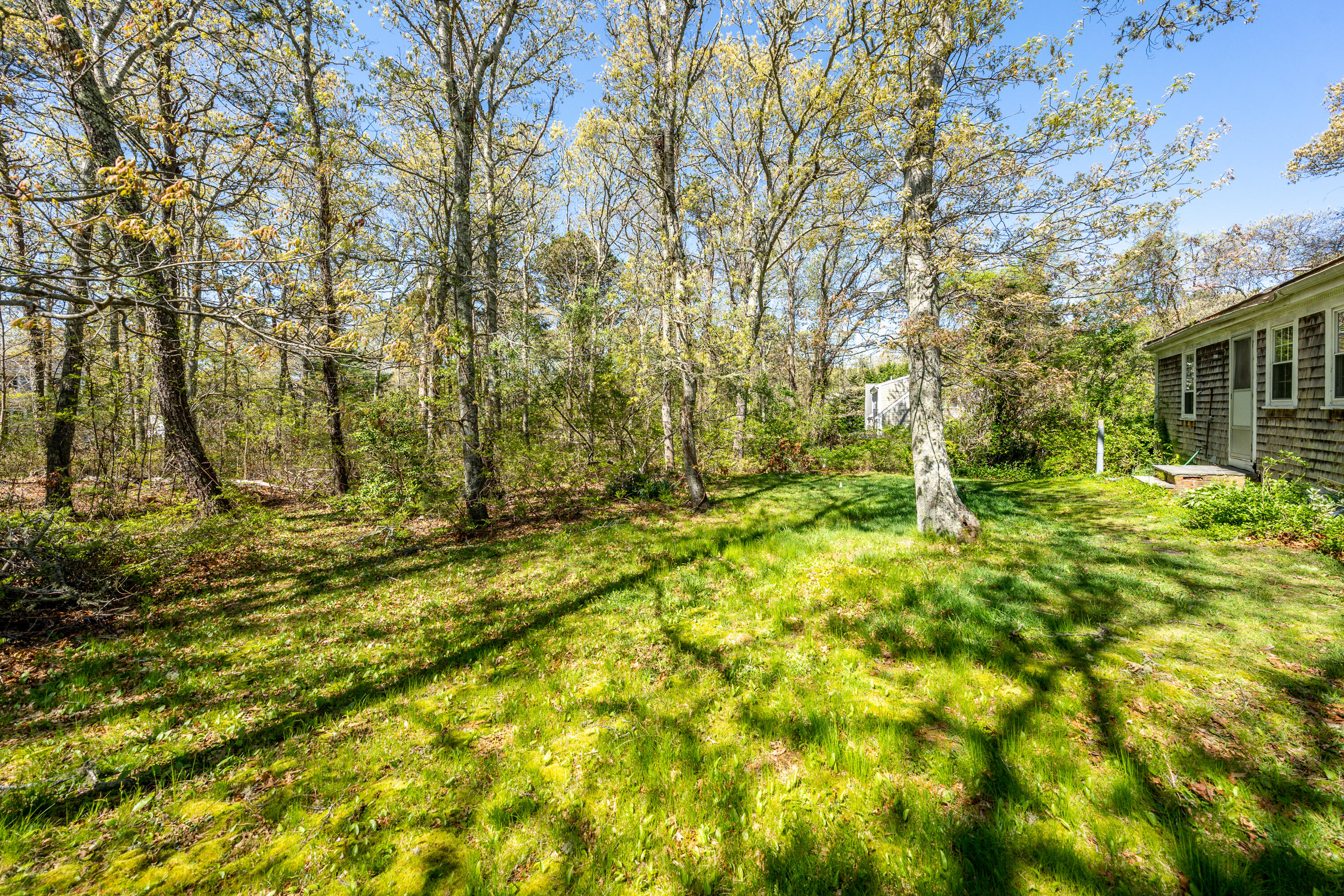 23 Rogers Road Brewster, MA 02631 - Photo 3 of 19 back yard