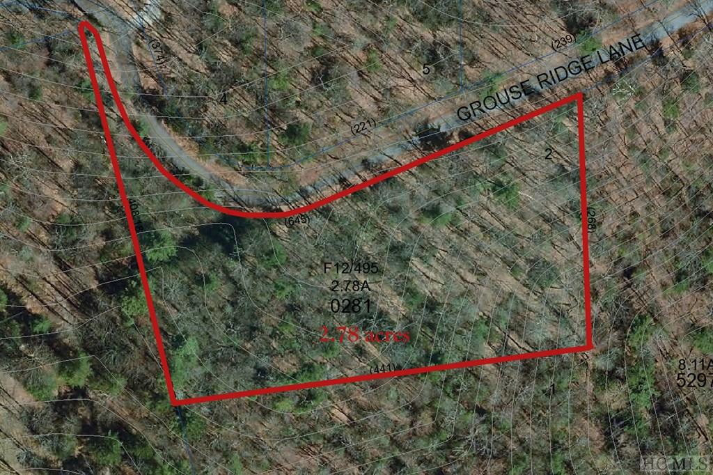 Lot 2 Grouse Ridge Lane Brevard, NC 28712 - Photo 9 of 10 Gallery Image 9