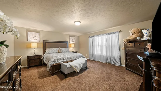 a bedroom with a bed and a tv