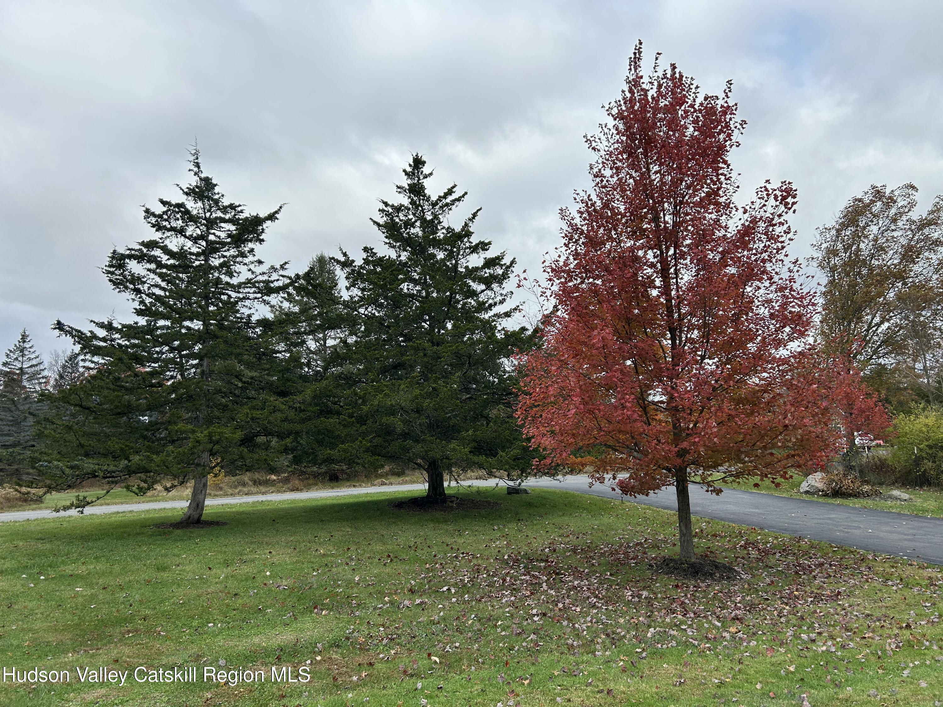 6 High Ridge Road New Paltz, NY 12561 - Photo 8 of 52 IMG_0610