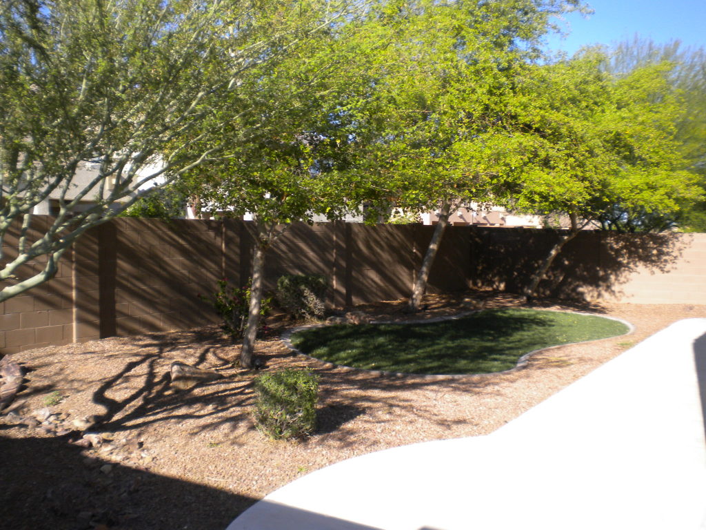 13576 West Redfield Road Surprise, AZ 85379 - Photo 19 of 20 Backyard view 2
