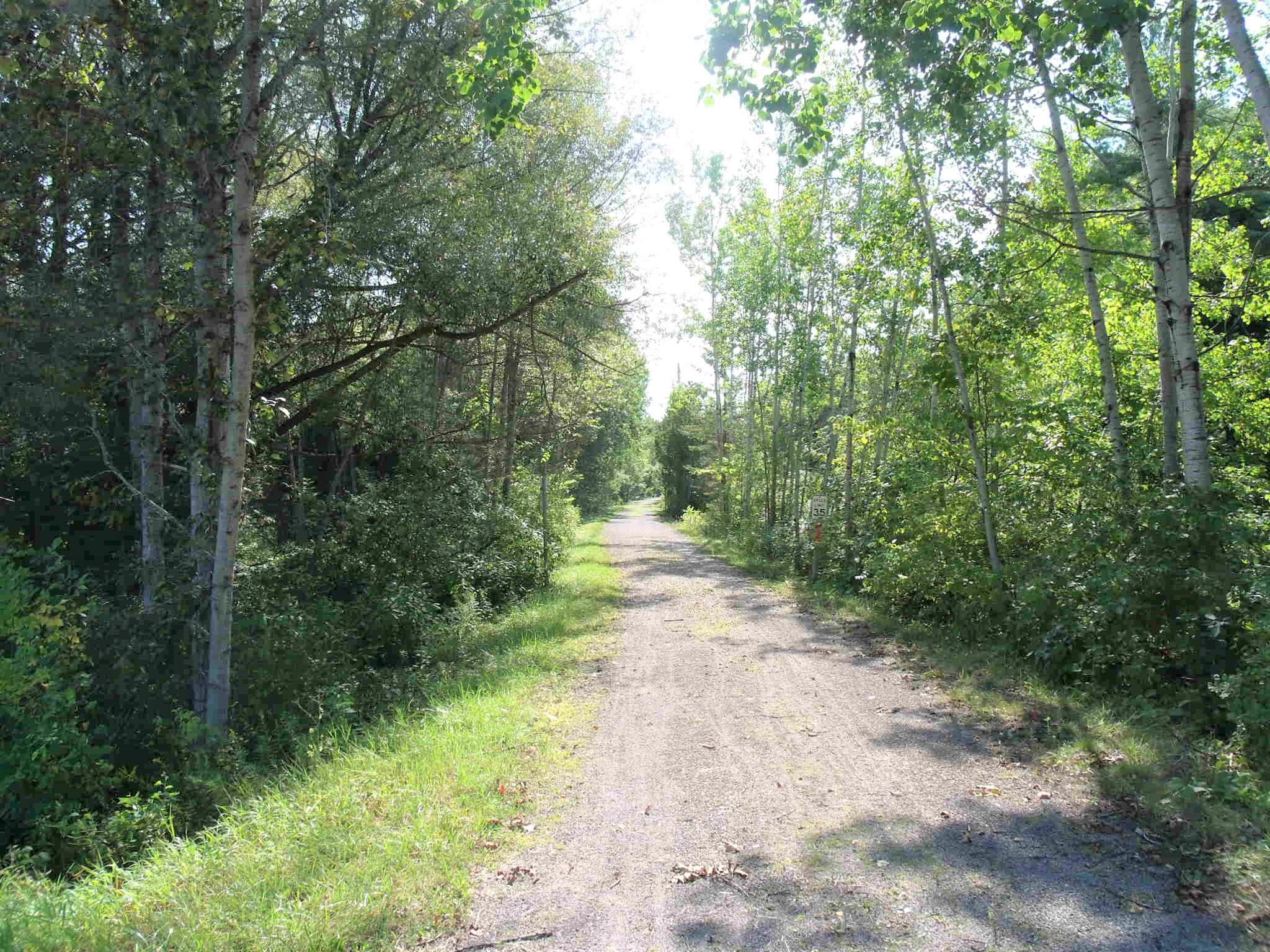 8126 Mullett Lake Road Cheboygan, MI 49721 - Photo 62 of 70 Gallery Image 62