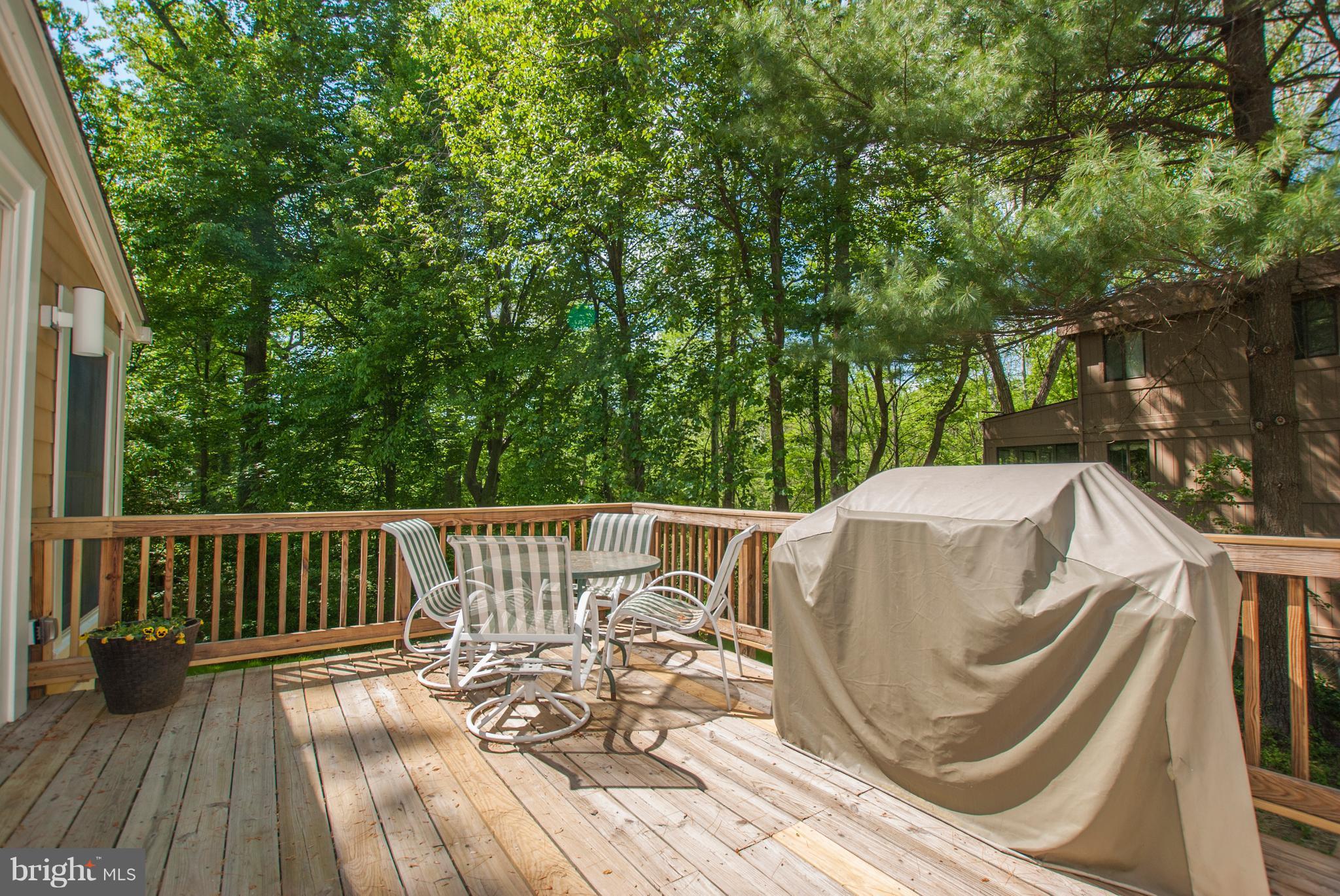 8540 West Howell Road Bethesda, MD 20817 - Photo 26 of 27 Exterior (Rear) Side Deck