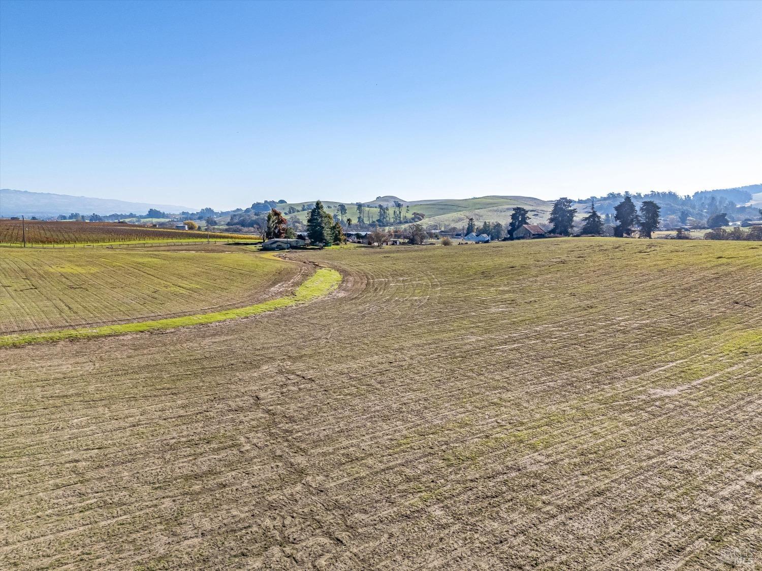 6000 Petersen Road Sebastopol, CA 95472 - Photo 1 of 25