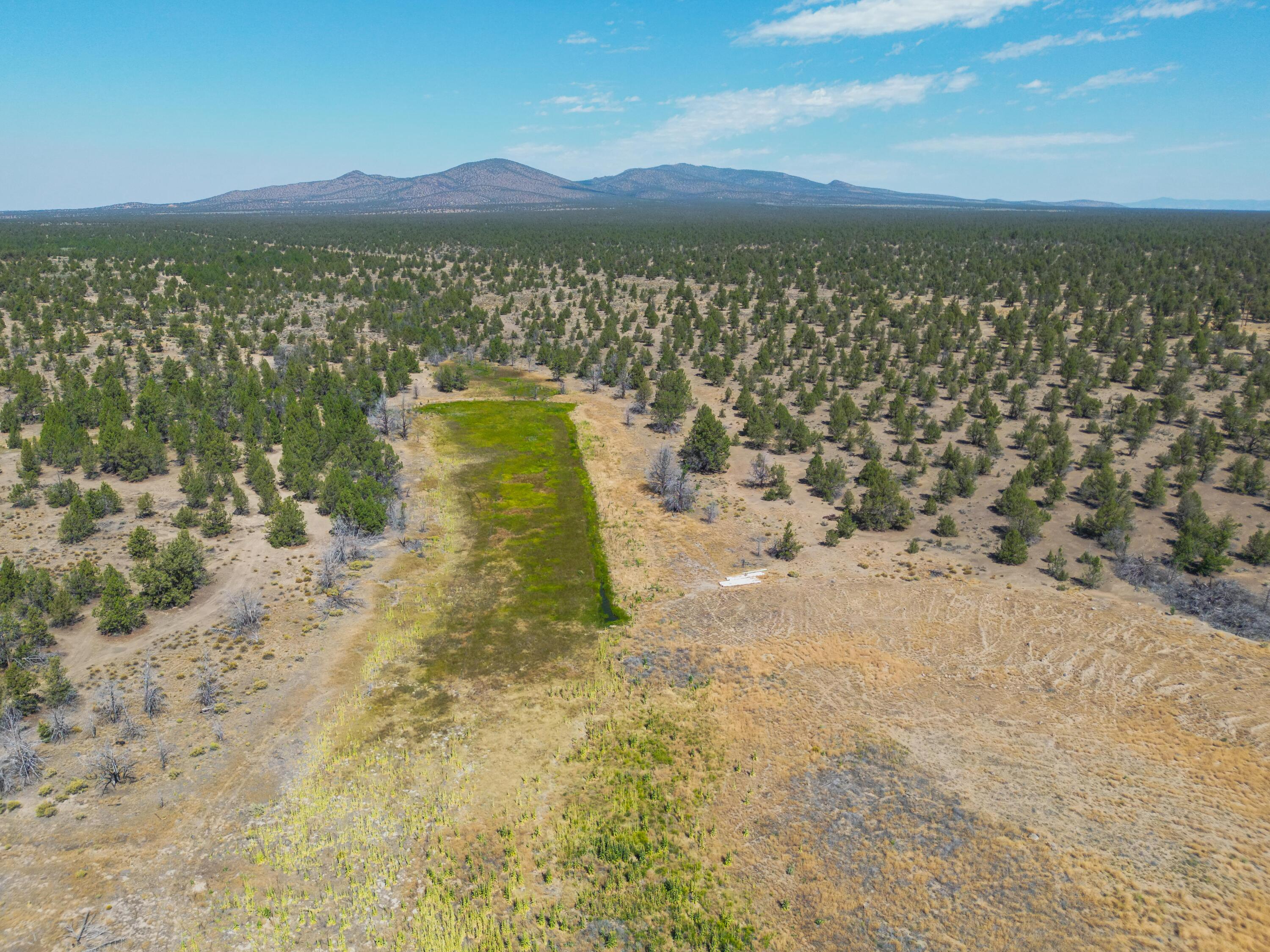 26720 Horsell Road Bend, OR 97701 - Photo 57 of 75 26720 Horsell-51