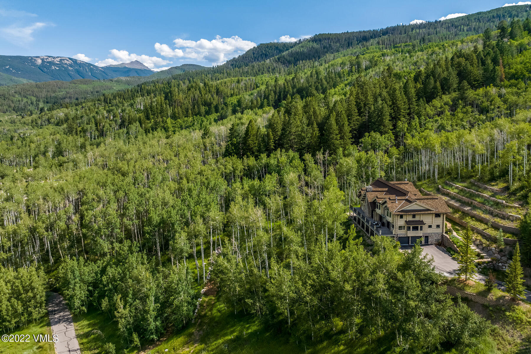 1145 Pilgrim Drive Edwards, CO 81632 - Photo 47 of 54 a view of a lush green forest with lots of trees