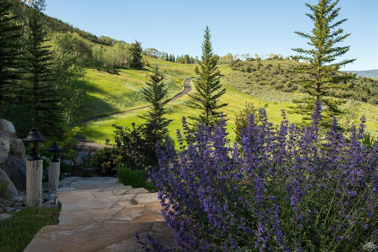 1145 Pilgrim Drive Edwards, CO 81632 - Photo 51 of 54 a view of a garden with plants
