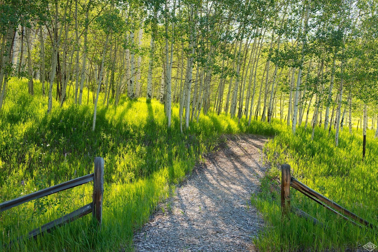 1145 Pilgrim Drive Edwards, CO 81632 - Photo 52 of 54 a view of yard from a balcony
