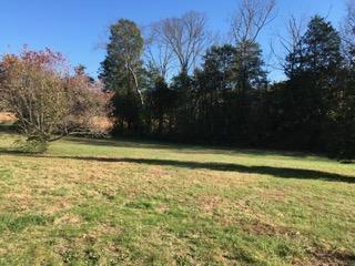 7600 East Emory Road Corryton, TN 37721 - Photo 3 of 20 Back yard