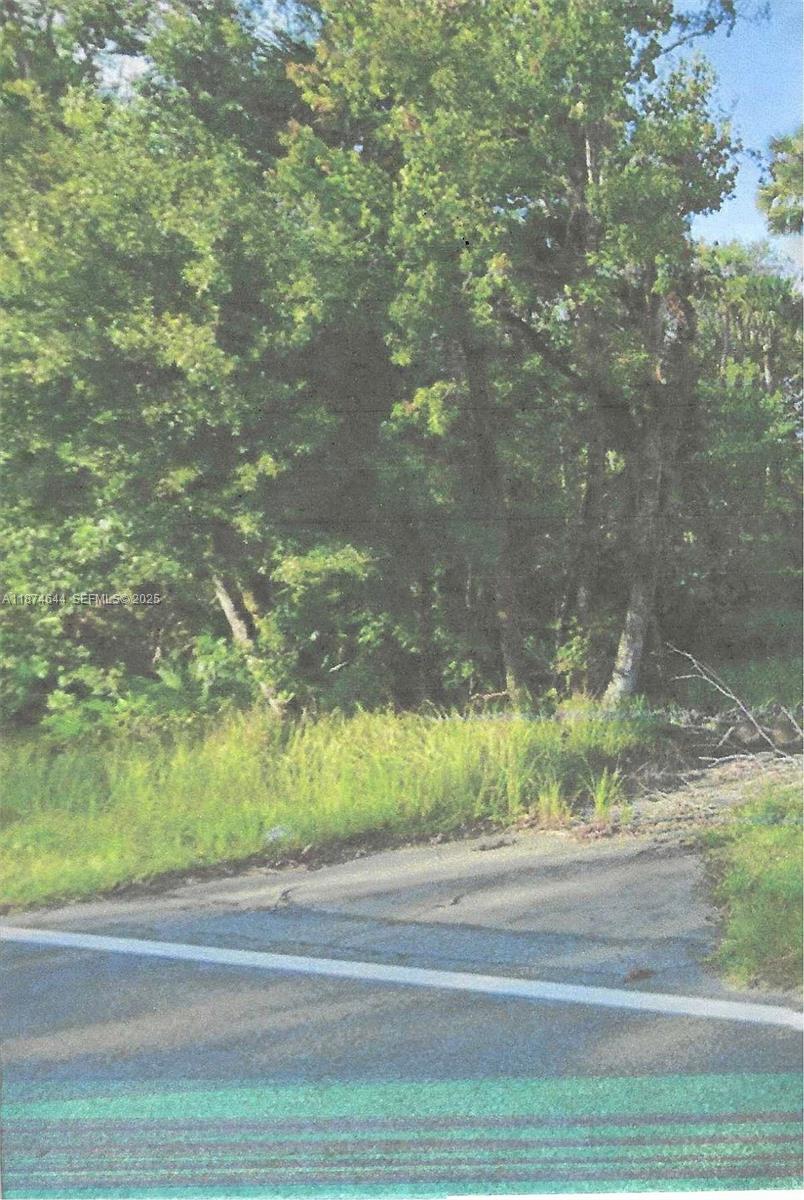 0 Adair Road Davenport, FL 33837 - Photo 2 of 5 a view of a yard