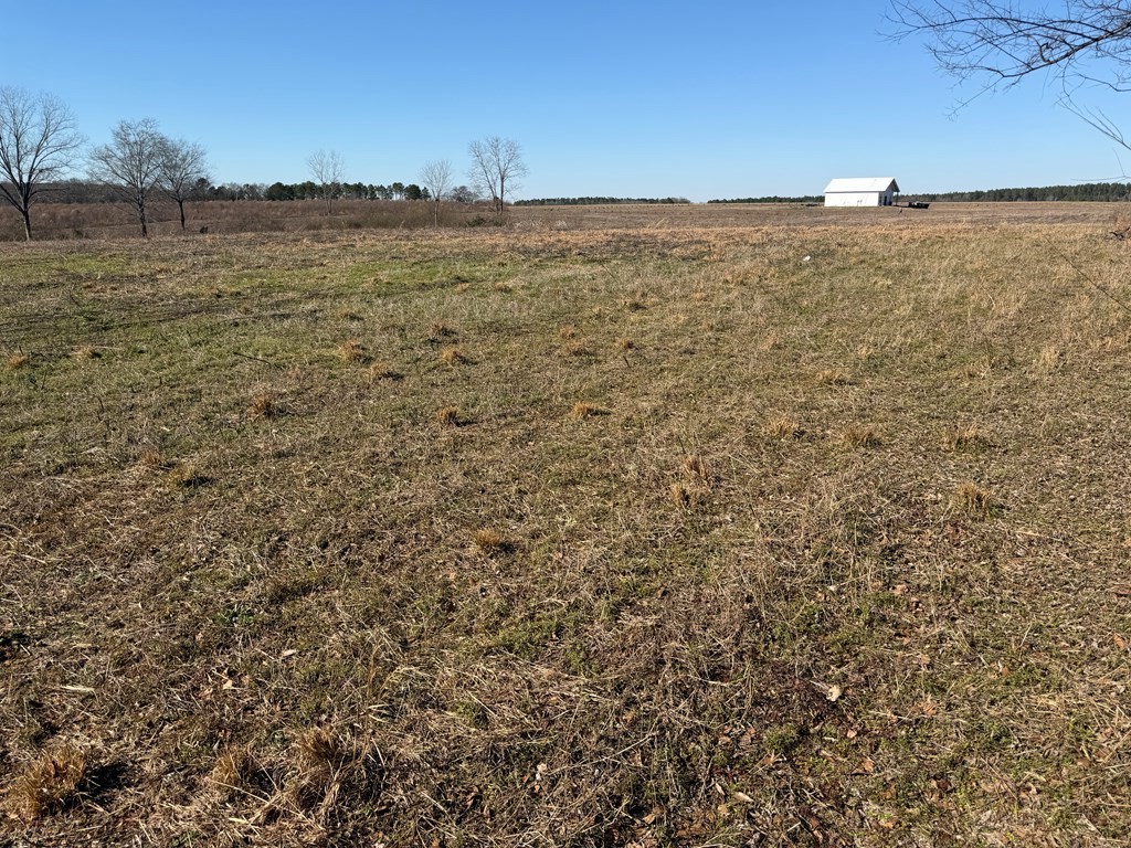 Lot 1 Culver Road Newville, AL 36353 - Photo 4 of 8 Gallery Image 4