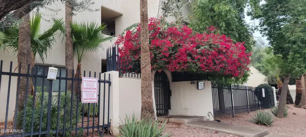 a front view of a house with a tree