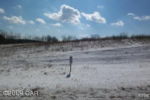 Lot #3 St Peters Road, Unit 3 Andreas, PA 18211 - Photo 1 of 1 land