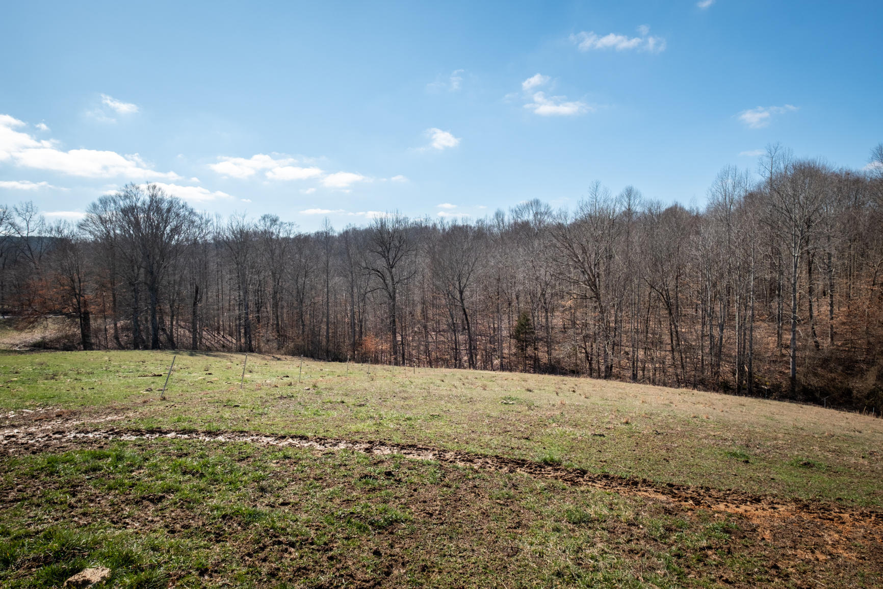 1325 Hopeful School Road Nancy, KY 42544 - Photo 19 of 22 KXTB8213