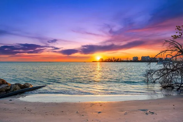 a view of street with palm trees