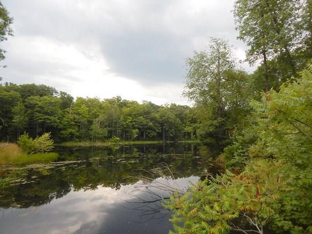 331-336 Sanborn Road Monmouth, ME 04259 - Photo 2 of 32 Photo